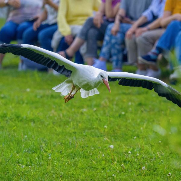 Wegen großer Hitze am Wochenende geschlossen