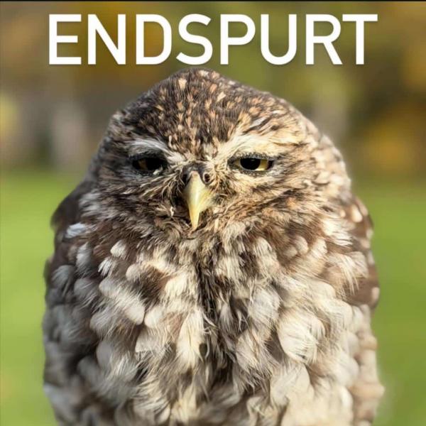 Saisonende am 2.11.2025