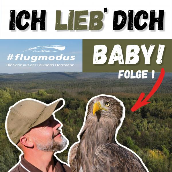 #flugmodus - Die Serie aus der Falknerei Herrmann