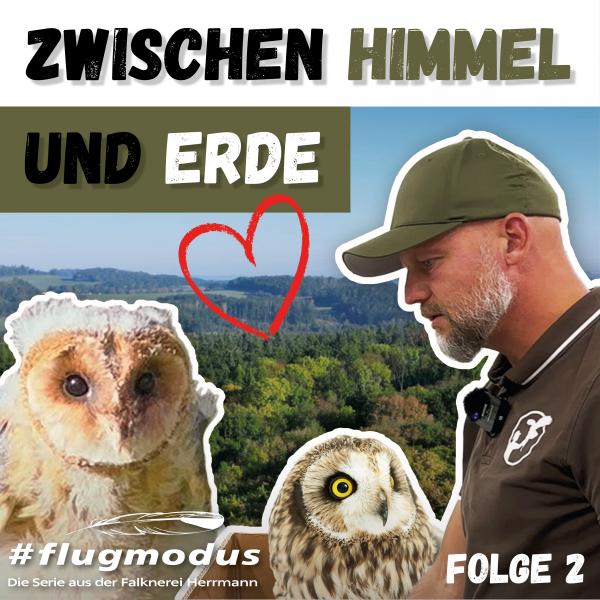 #flugmodus - Die Serie aus der Falknerei Herrmann Folge 2