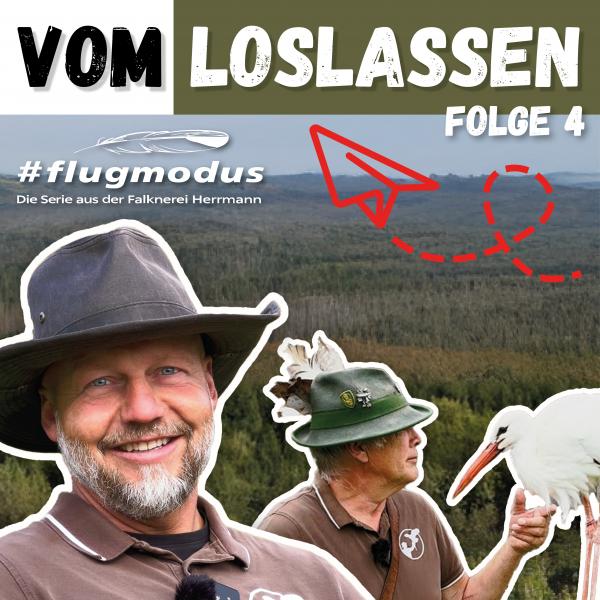 #flugmodus - Die Serie aus der Falknerei Herrmann Folge 4