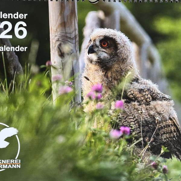 Kalender 2026
