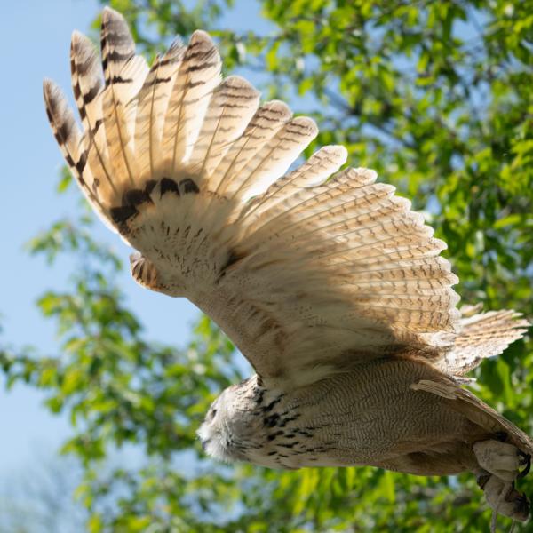 Saisonstart am 24.März