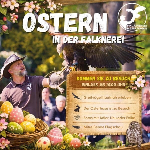 Ostern in der Falknerei Herrmann