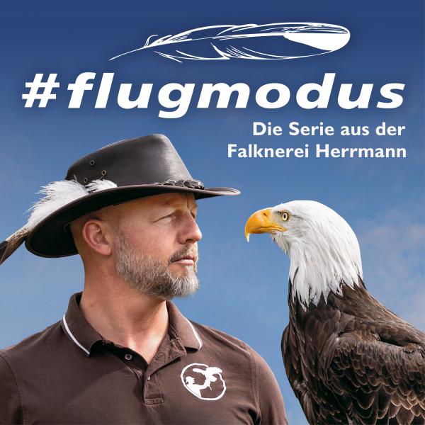 #flugmodus - Premiere der 2. Staffel in der Festhalle Plauen am 03.Juli 2026 um 18 Uhr