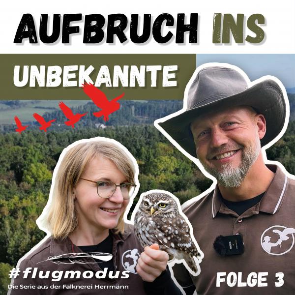 #flugmodus - Die Serie aus der Falknerei Herrmann Folge 3