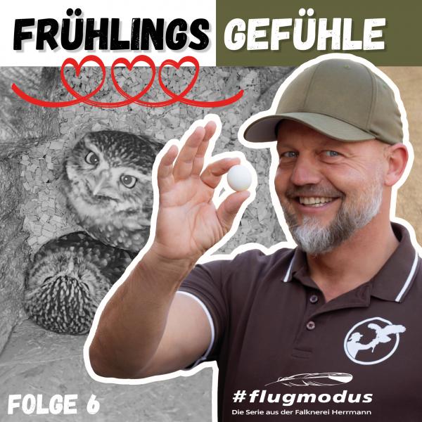 #flugmodus Osterfolge