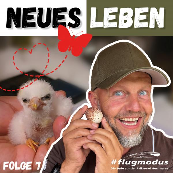 Folge 7 von #flugmodus jetzt auf YouTube