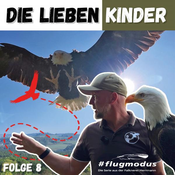 Folge 8 von #flugmodus