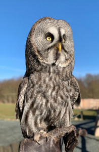 Bartkauz "Berta" - Patin: Kristin Michaelis